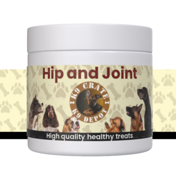 Hip and Joint